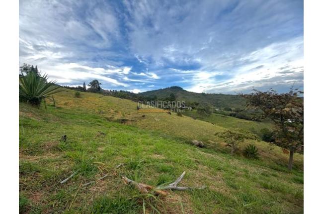 Lotes, Venta, Yumbo - $590.000.000
