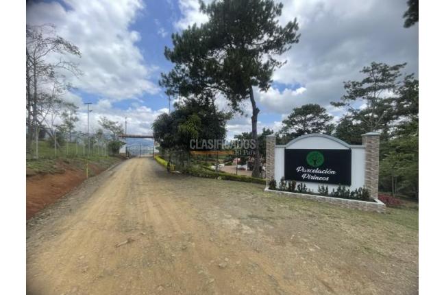 Lotes, Venta en Dagua