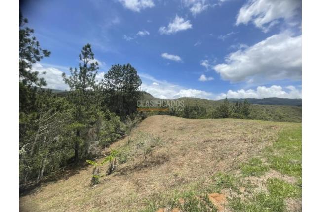 Lotes, Venta en Dagua