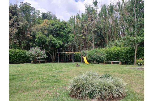 Casas, Venta, Pereira - $350.000.000