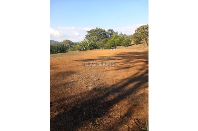 Lotes, Venta en Calima (Darién)