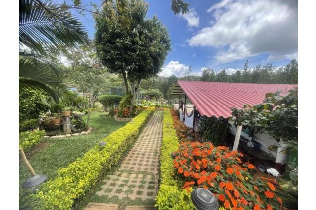 Fincas y Casas Campestres, Venta en Dagua