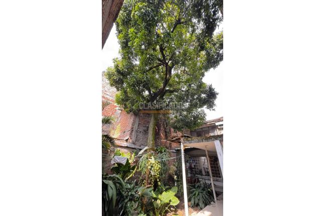 Casas, Venta, La Selva - $750.000.000