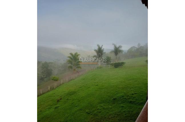 Fincas y Casas Campestres, Venta en Dagua