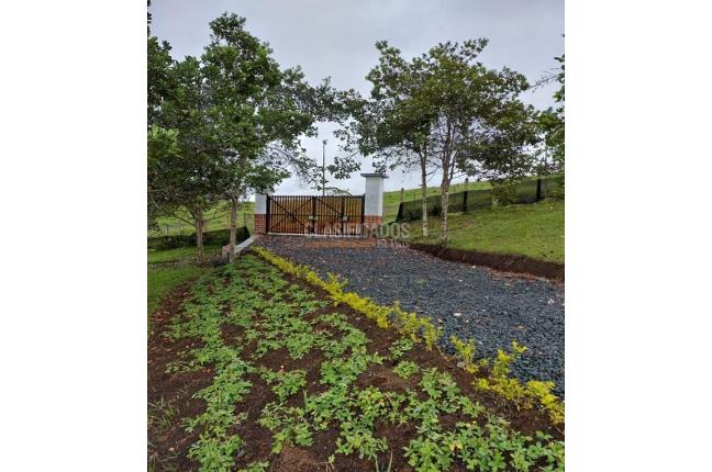Lotes, Venta en Dagua