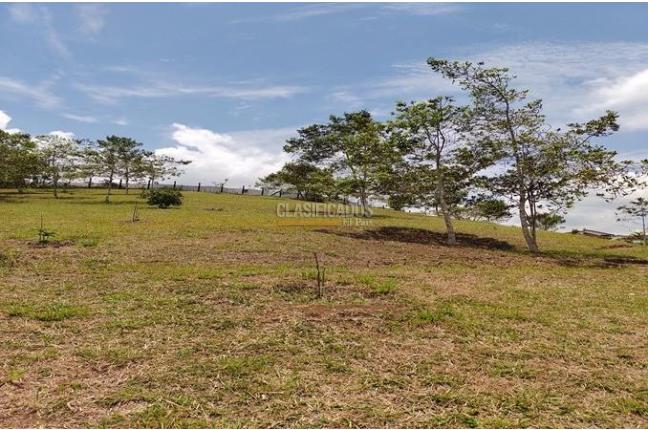 Lotes, Venta, Dagua - $280.000.000