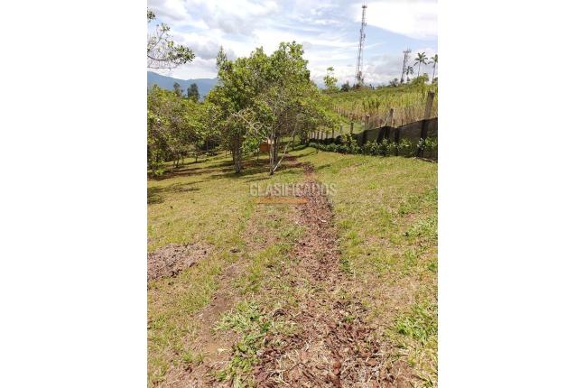 Lotes, Venta, Dagua - $280.000.000