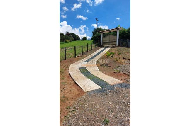 Casas, Venta, Calima (Darién) - $298.000.000