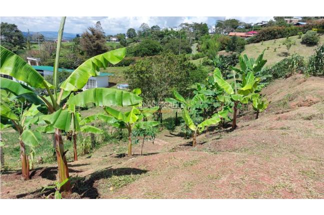 Casas, Venta, Calima (Darién) - $298.000.000