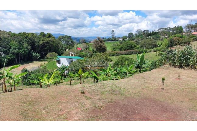 Casas, Venta, Calima (Darién) - $298.000.000