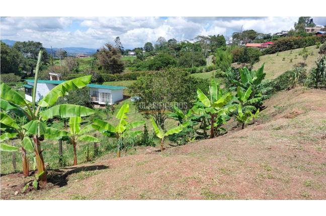 Casas, Venta, Calima (Darién) - $298.000.000