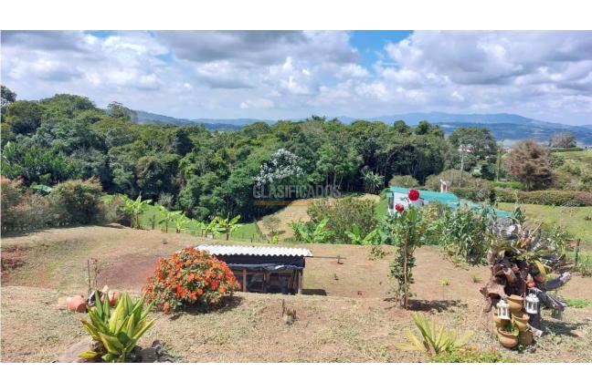 Casas, Venta, Calima (Darién) - $298.000.000