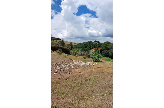 Casas, Venta, Calima (Darién) - $298.000.000