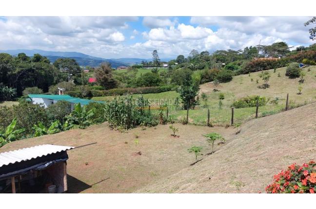 Casas, Venta, Calima (Darién) - $298.000.000
