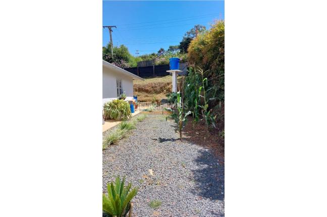Casas, Venta, Calima (Darién) - $298.000.000