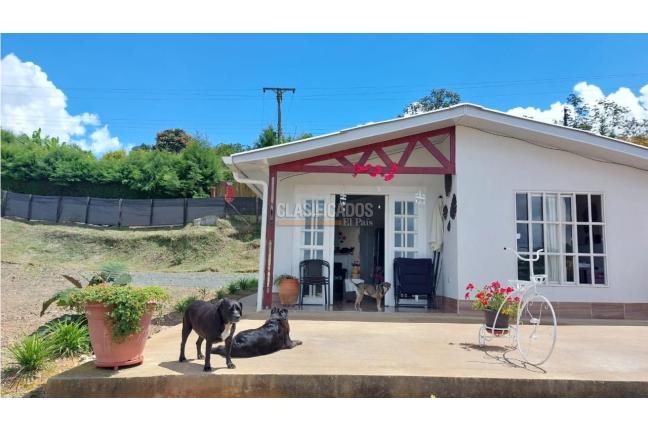 Casas, Venta, Calima (Darién) - $298.000.000
