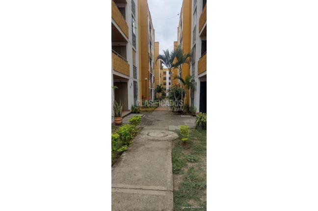 Apartamentos, Alquiler en Brisas de los Álamos