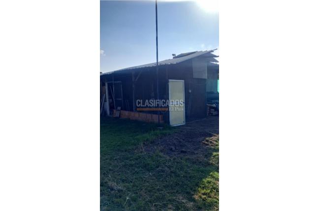 Lotes, Venta, Palmira - $260.000.000