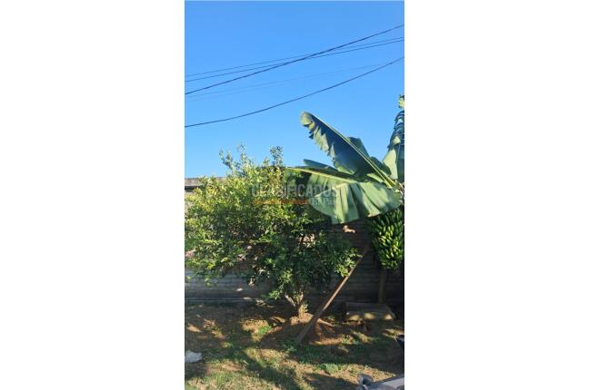 Lotes, Venta, Palmira - $260.000.000