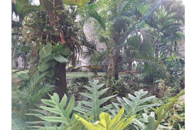 Apartamentos, Venta, El Limonar - $270.000.000