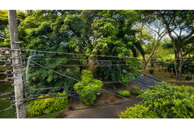 Casas, Venta, Palmira - $470.000.000