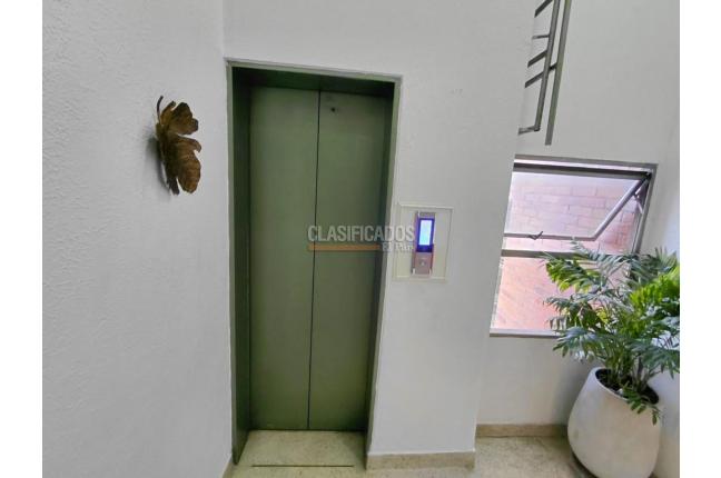 Apartamentos, Alquiler en Bellavista