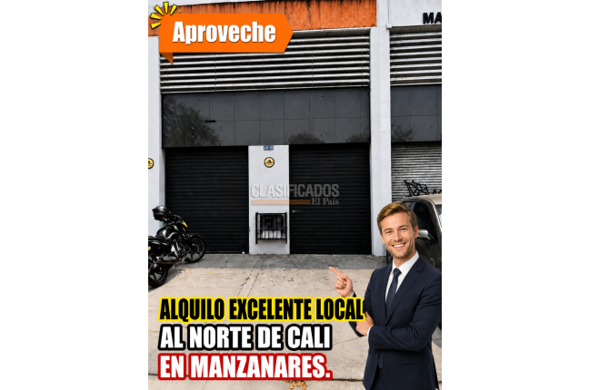 Locales y Bodegas, Alquiler en Manzanares