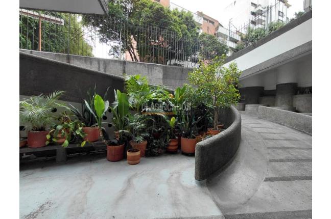 Apartamentos, Venta, Centenario - $450.000.000