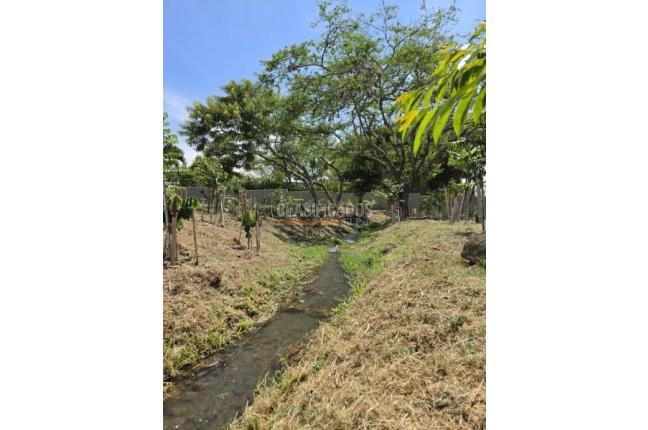 Lotes, Venta, Pance - $1.000.000.000