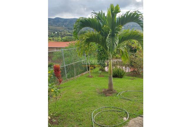 Fincas y Casas Campestres, Venta, Dagua - $530.000.000