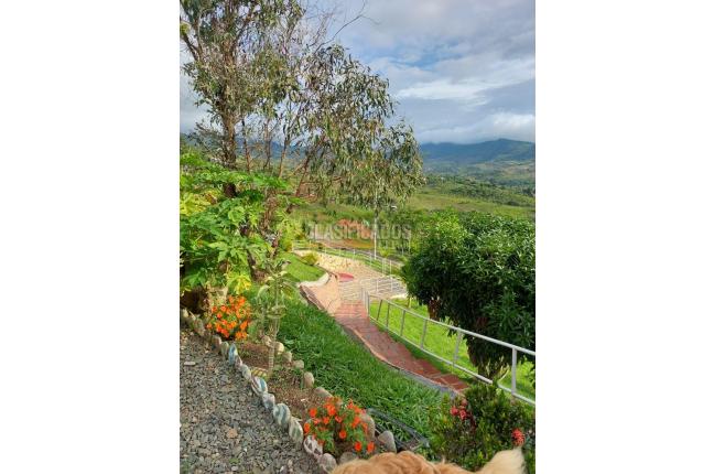 Fincas y Casas Campestres, Venta, Dagua - $600.000.000