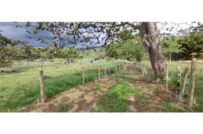 Lotes, Venta, Restrepo - $330.000.000