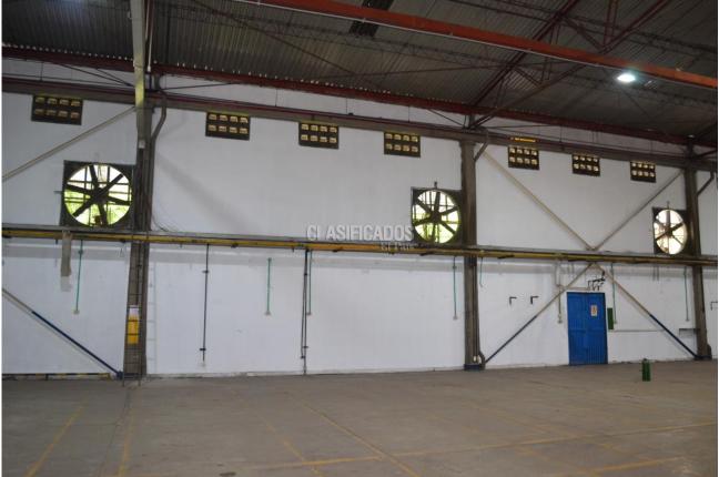 Locales y Bodegas, Alquiler en Flora Industrial