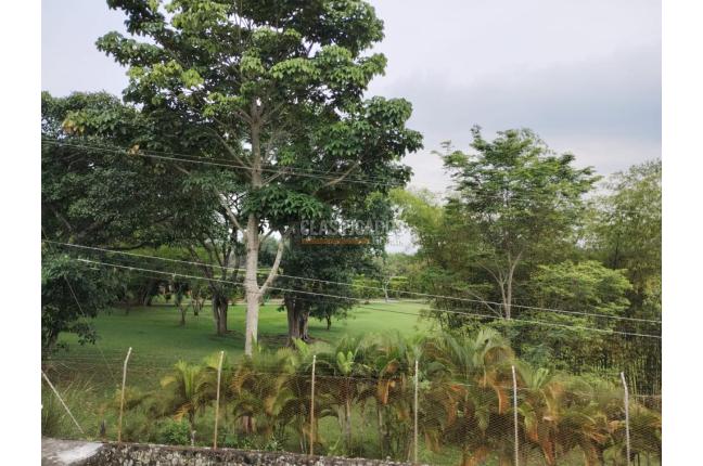 Casas, Venta, Pance - $1.550.000.000