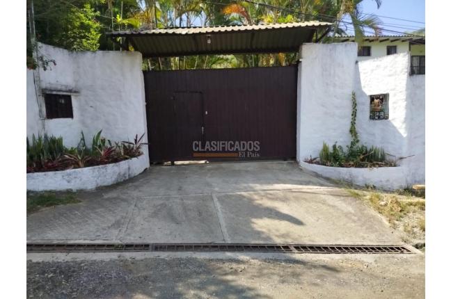 Apartamentos, Alquiler en Piamonte
