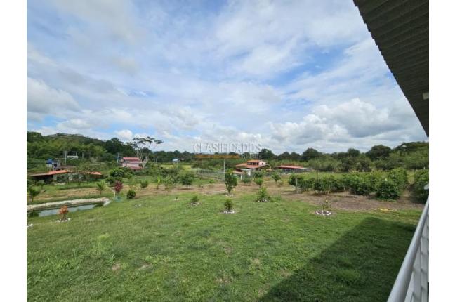 Fincas y Casas Campestres, Venta, Zarzal - $390.000.000