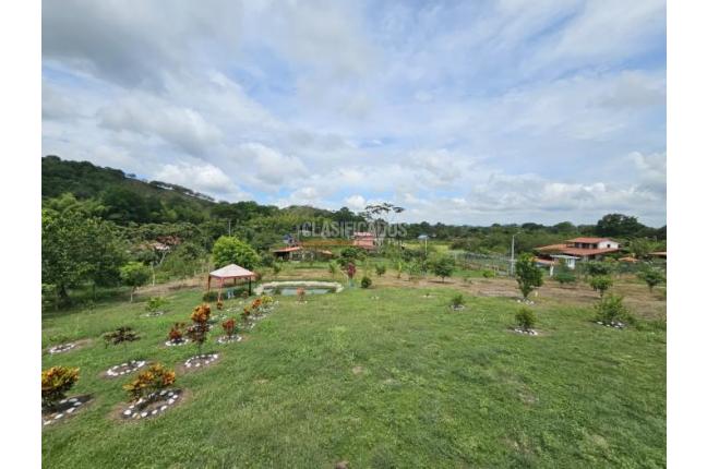 Fincas y Casas Campestres, Venta, Zarzal - $390.000.000