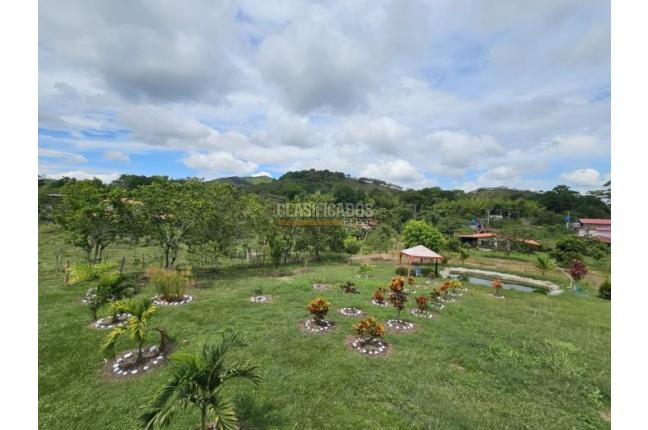 Fincas y Casas Campestres, Venta, Zarzal - $390.000.000