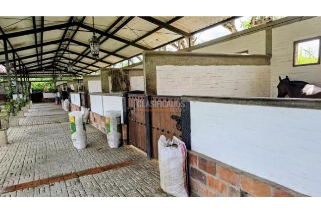 Casas, Venta, Palmira - $4.800.000.000