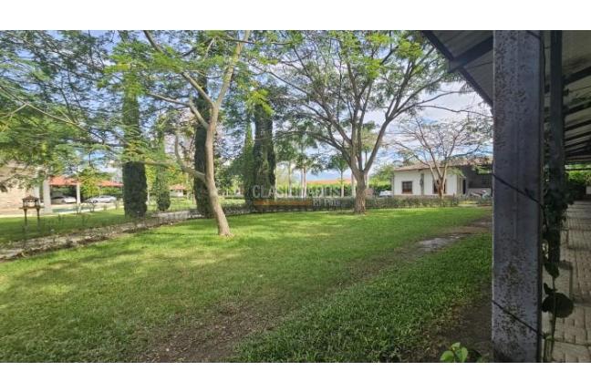 Casas, Venta, Palmira - $4.800.000.000