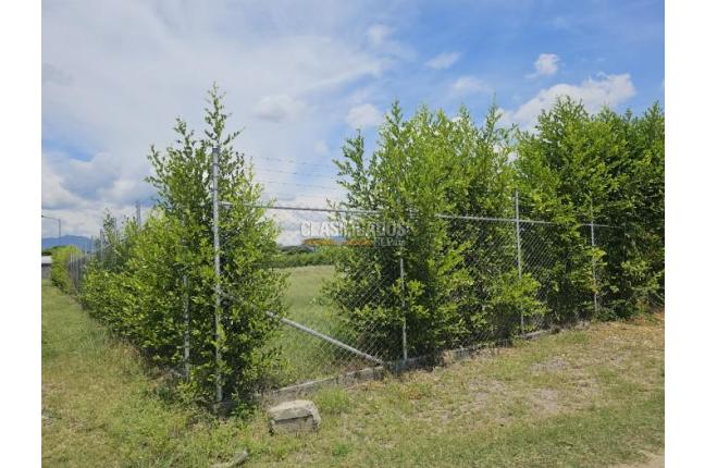 Lotes, Venta, Palmira - $1.152.000.000