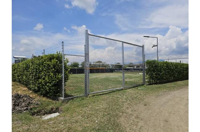 Lotes, Venta, Palmira - $590.000.000