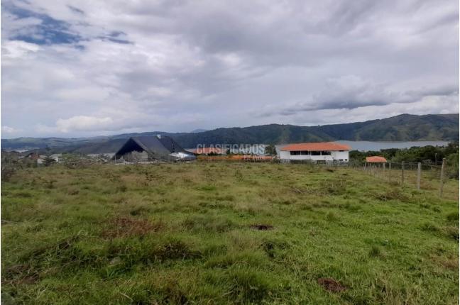 Lotes, Venta, Calima (Darién) - $325.000.000