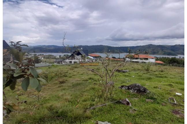 Lotes, Venta, Calima (Darién) - $325.000.000