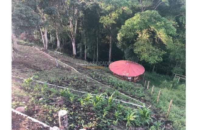 Fincas y Casas Campestres, Venta, Alcalá - $540.000.000