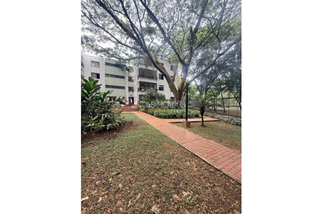 Apartamentos, Venta, Multicentro - $450.000.000