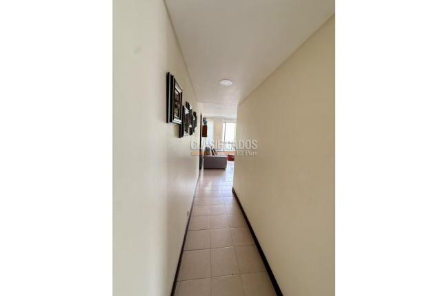 Apartamentos, Venta, Multicentro - $450.000.000