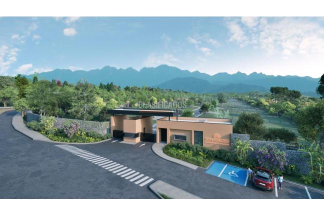 Lotes, Venta, Pance - $1.000.000.000