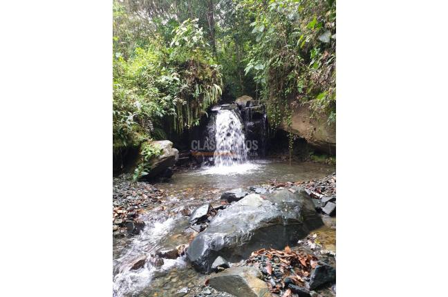 Fincas y Casas Campestres, Venta en Buga