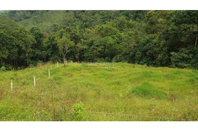 Fincas y Casas Campestres, Venta en Buga